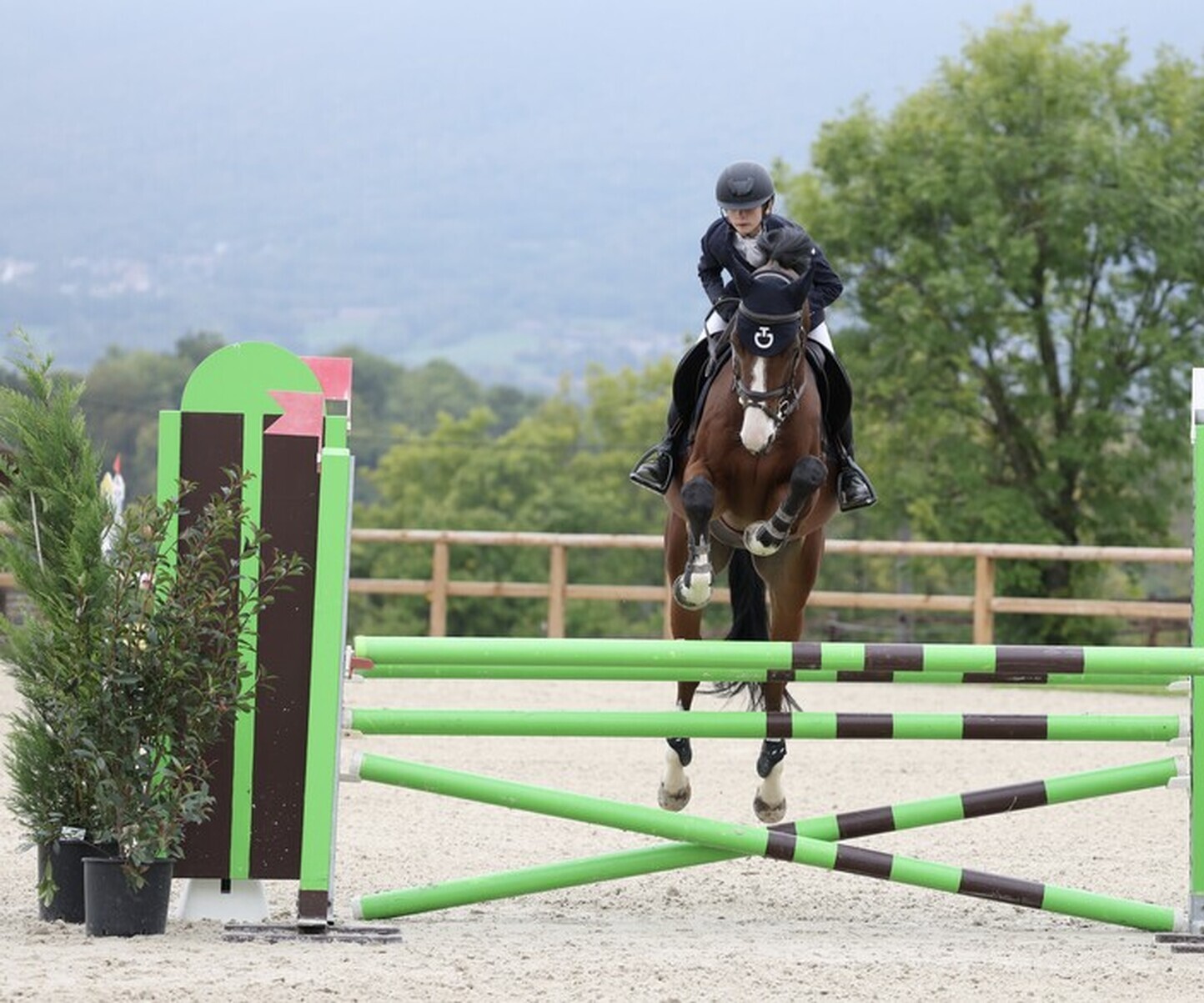 Description de l'image