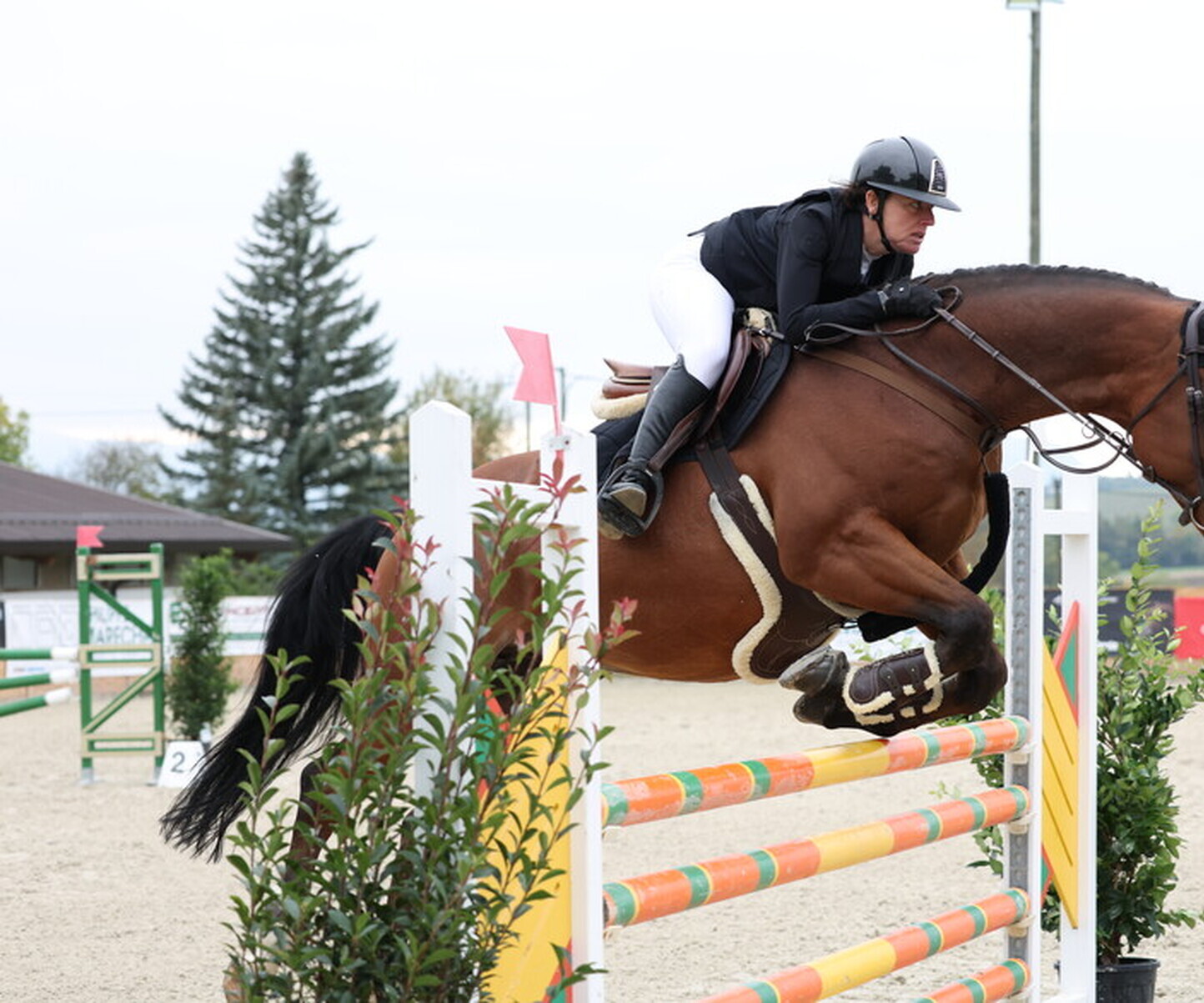 Description de l'image