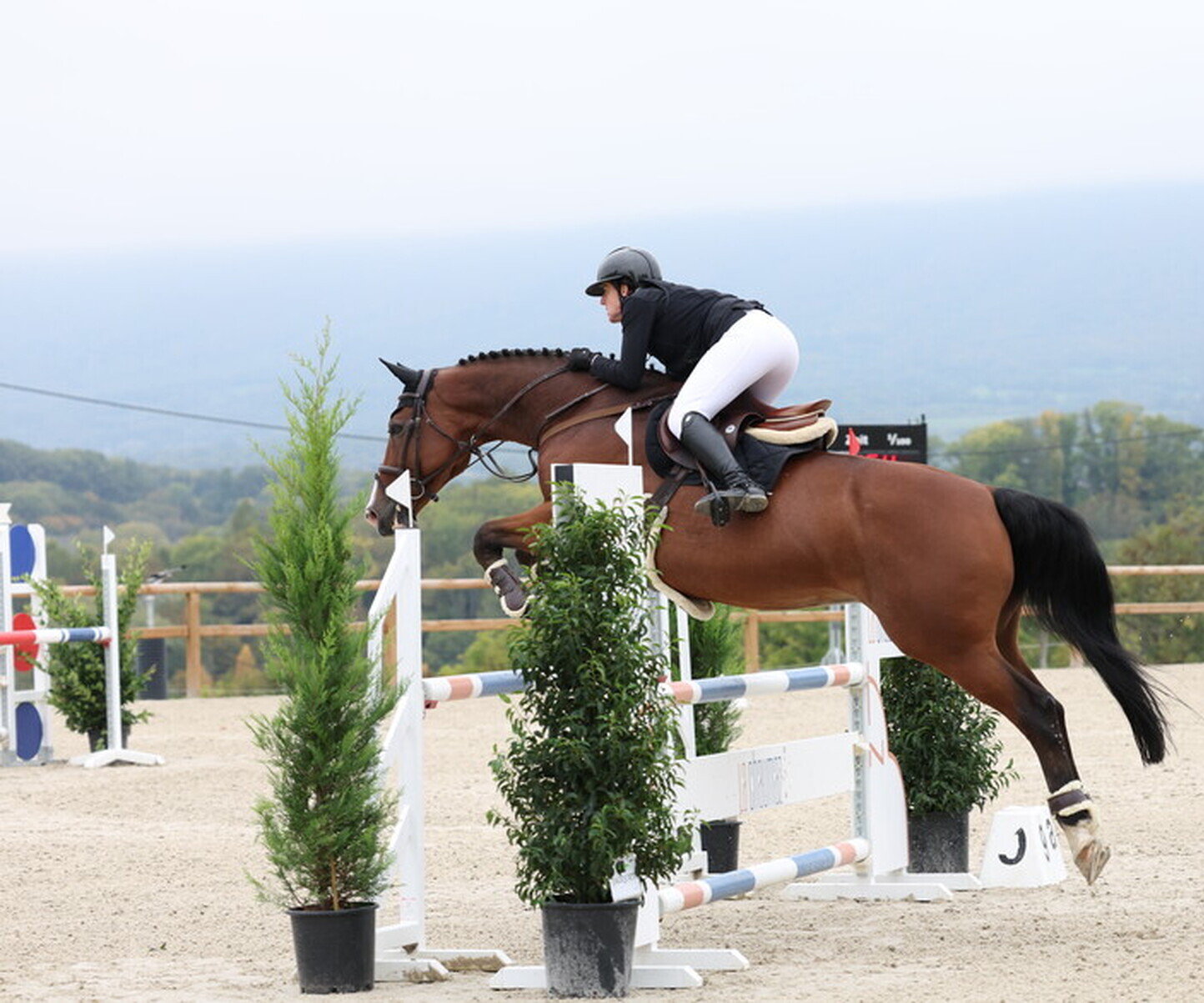 Description de l'image