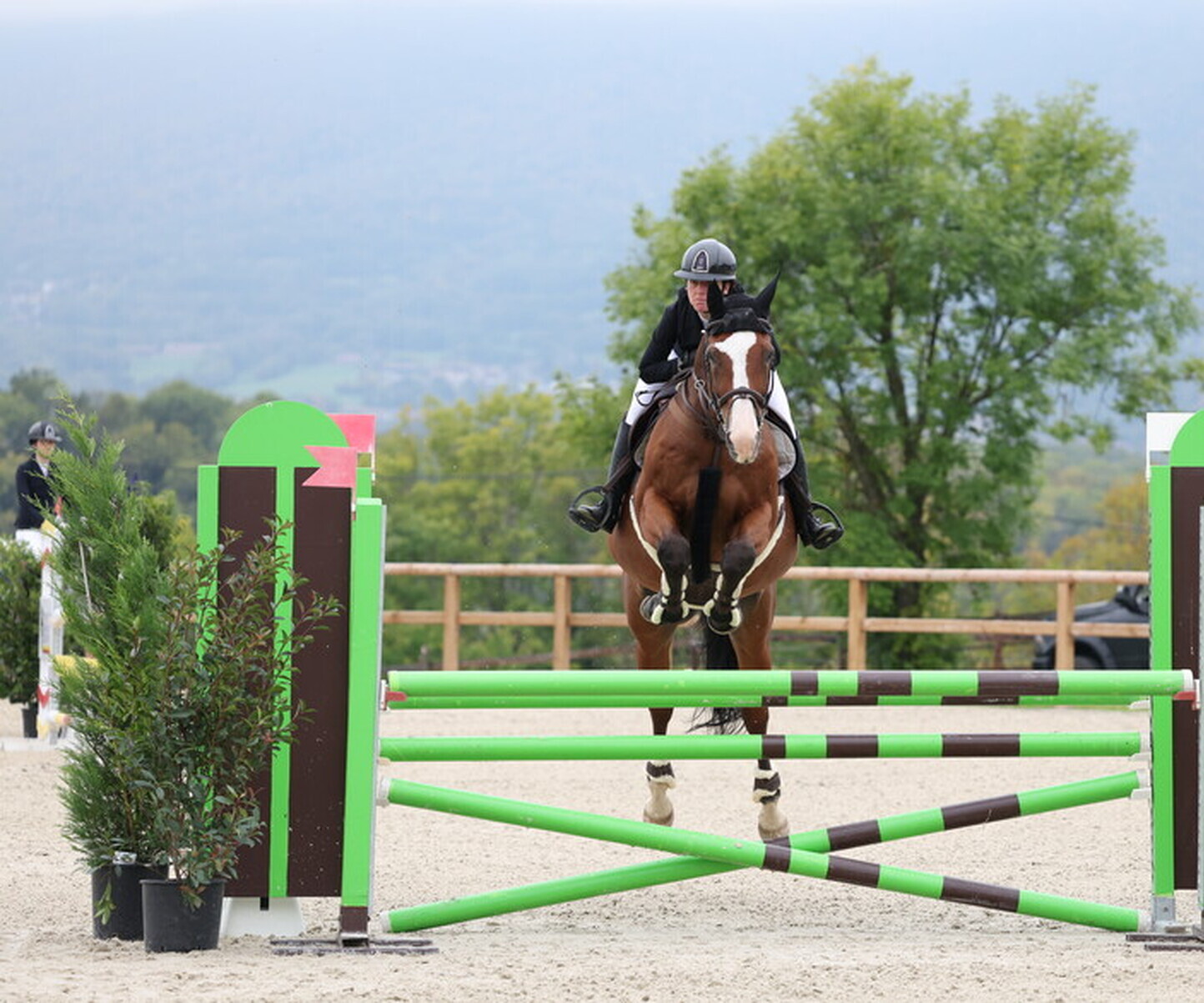 Description de l'image