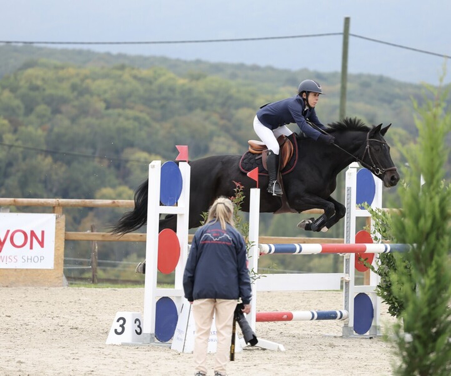 Description de l'image