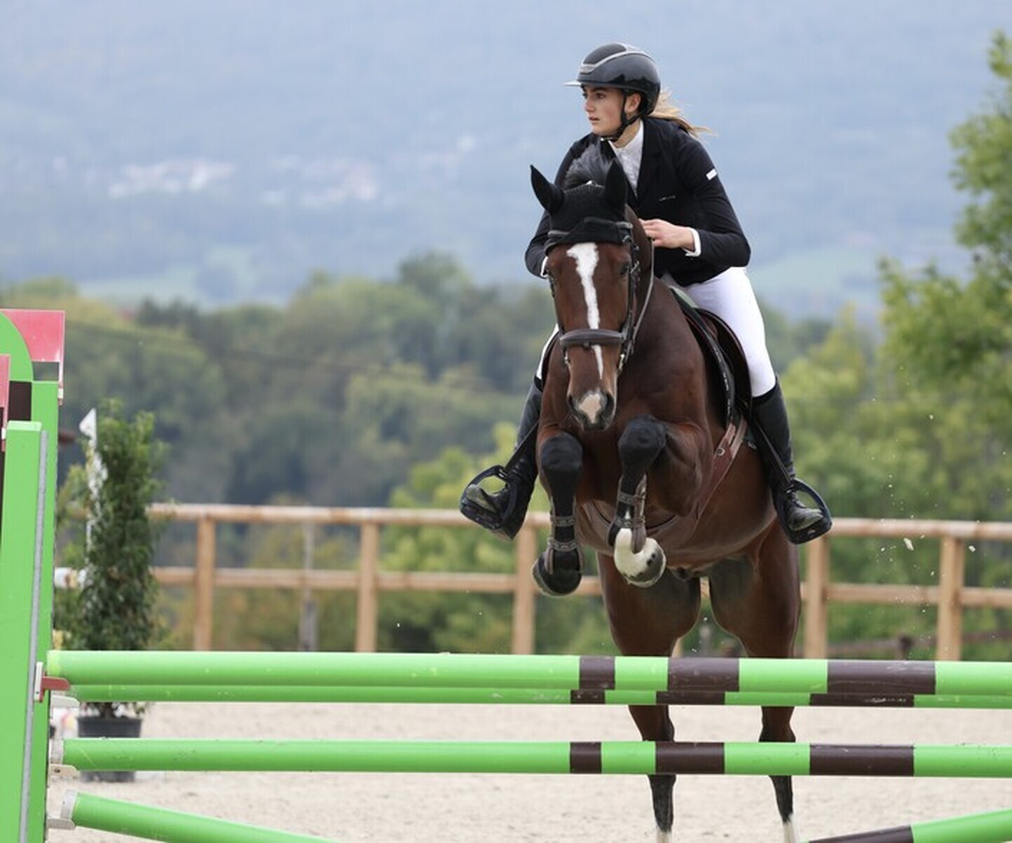 Description de l'image