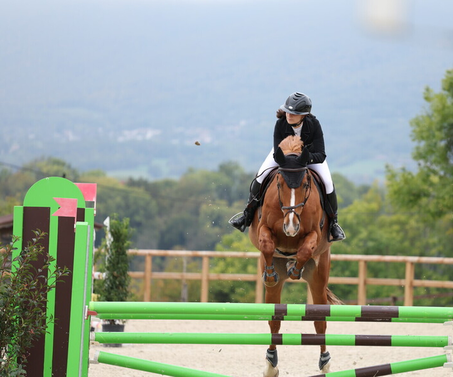 Description de l'image