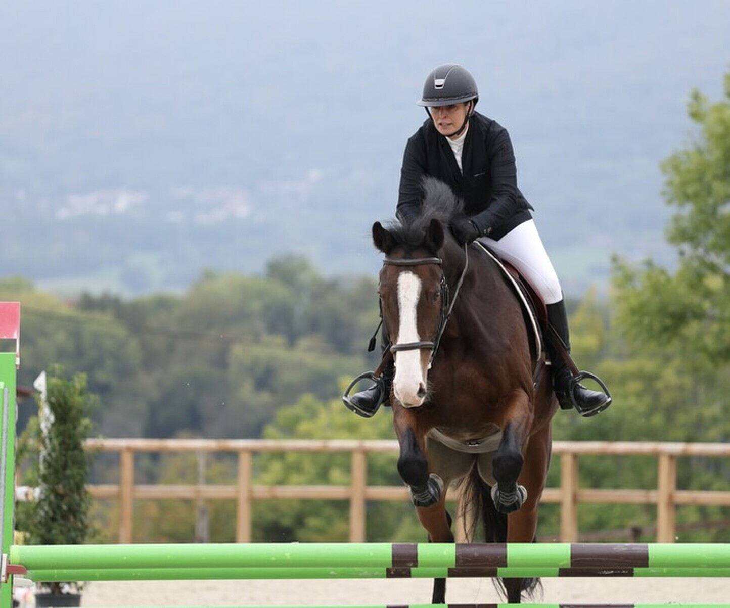 Description de l'image