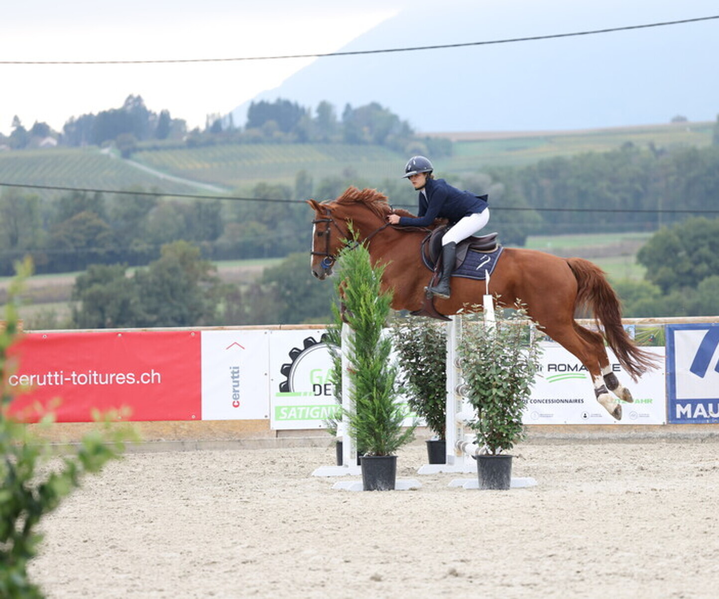 Description de l'image