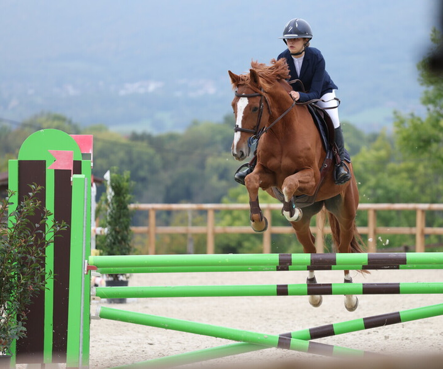 Description de l'image