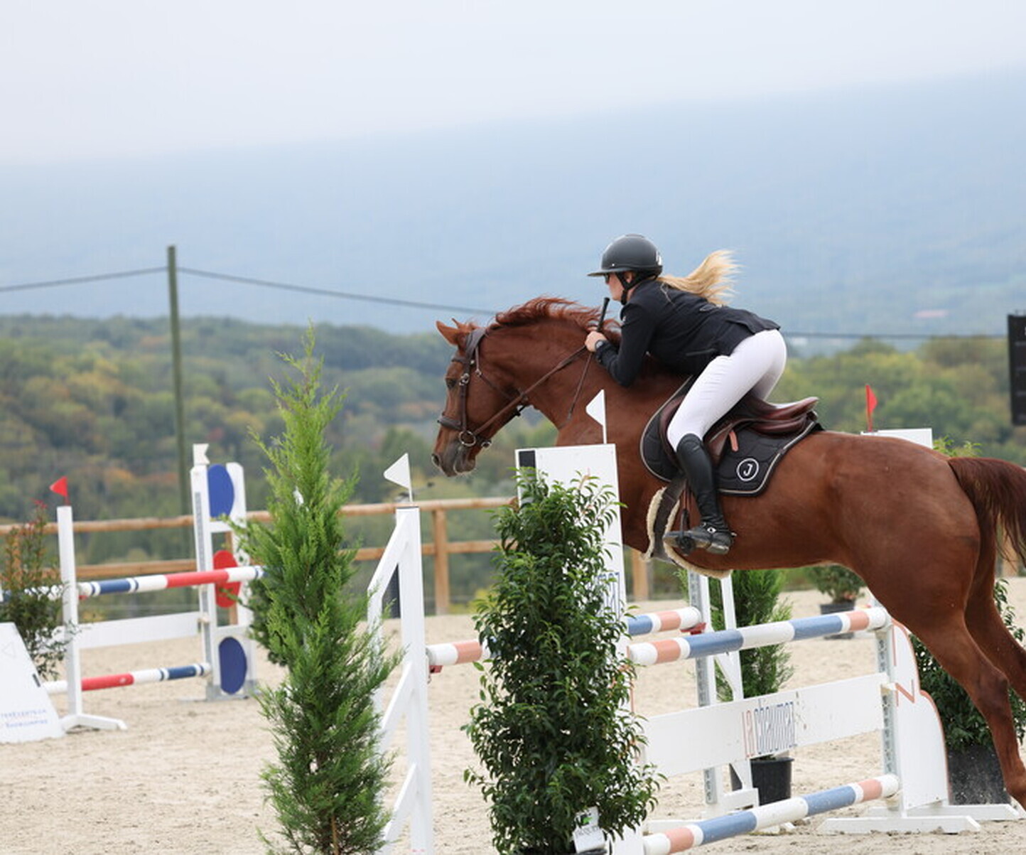 Description de l'image