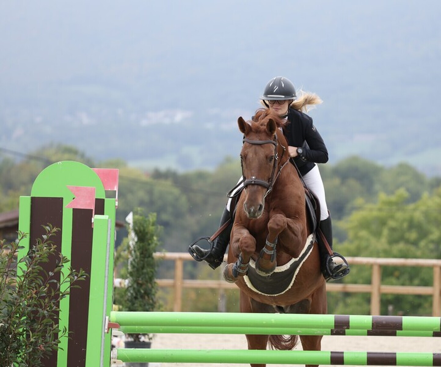 Description de l'image