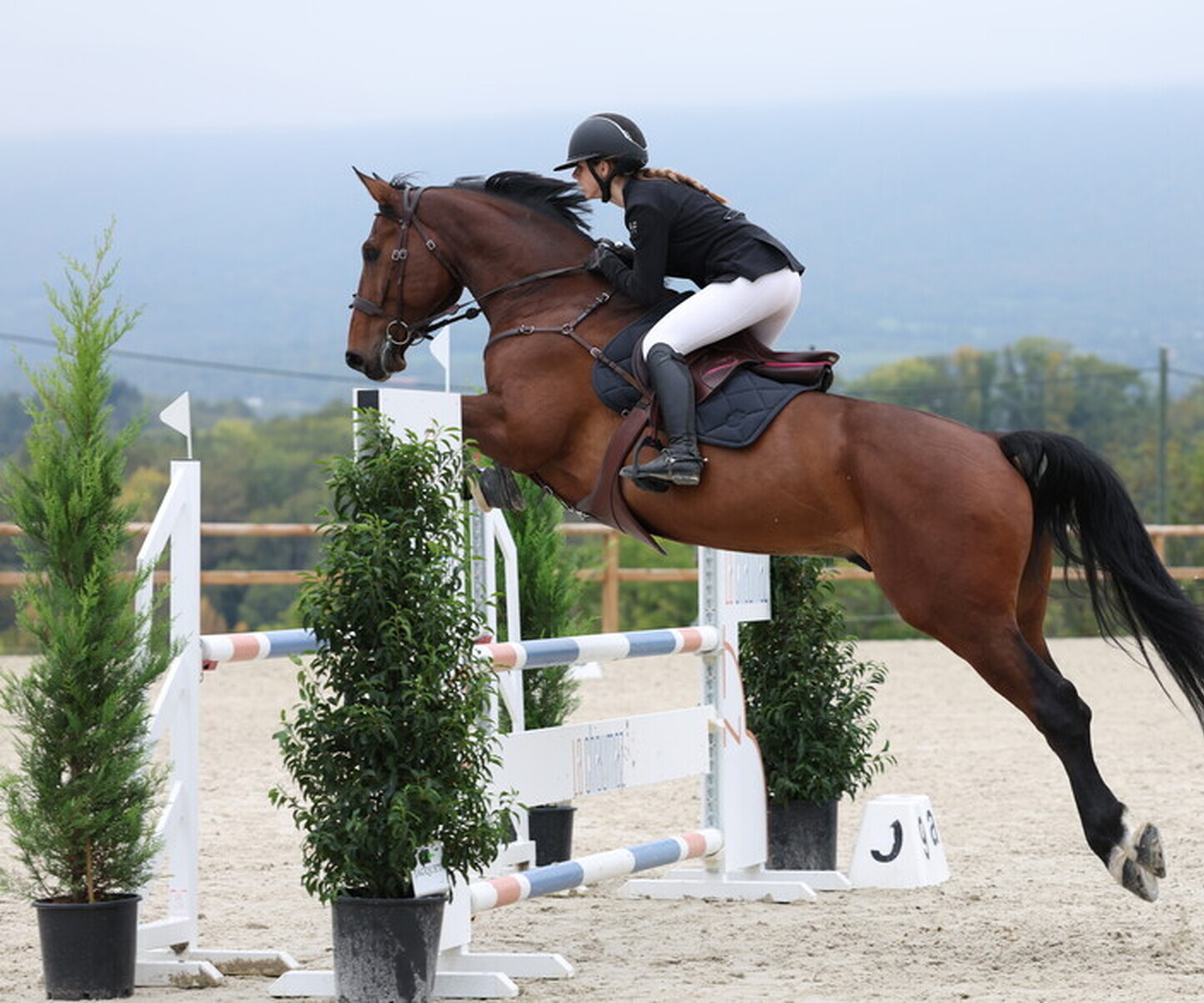 Description de l'image