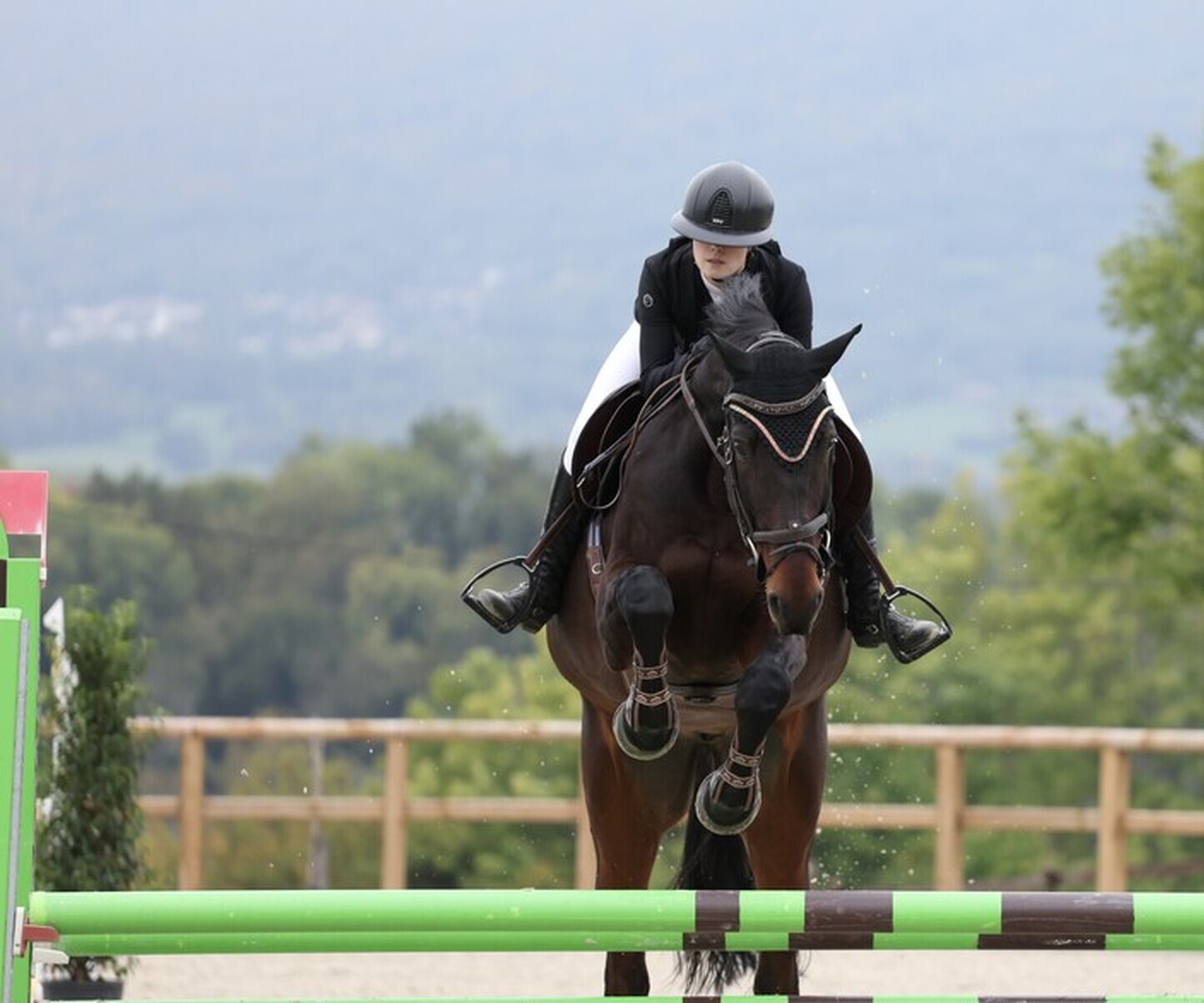 Description de l'image