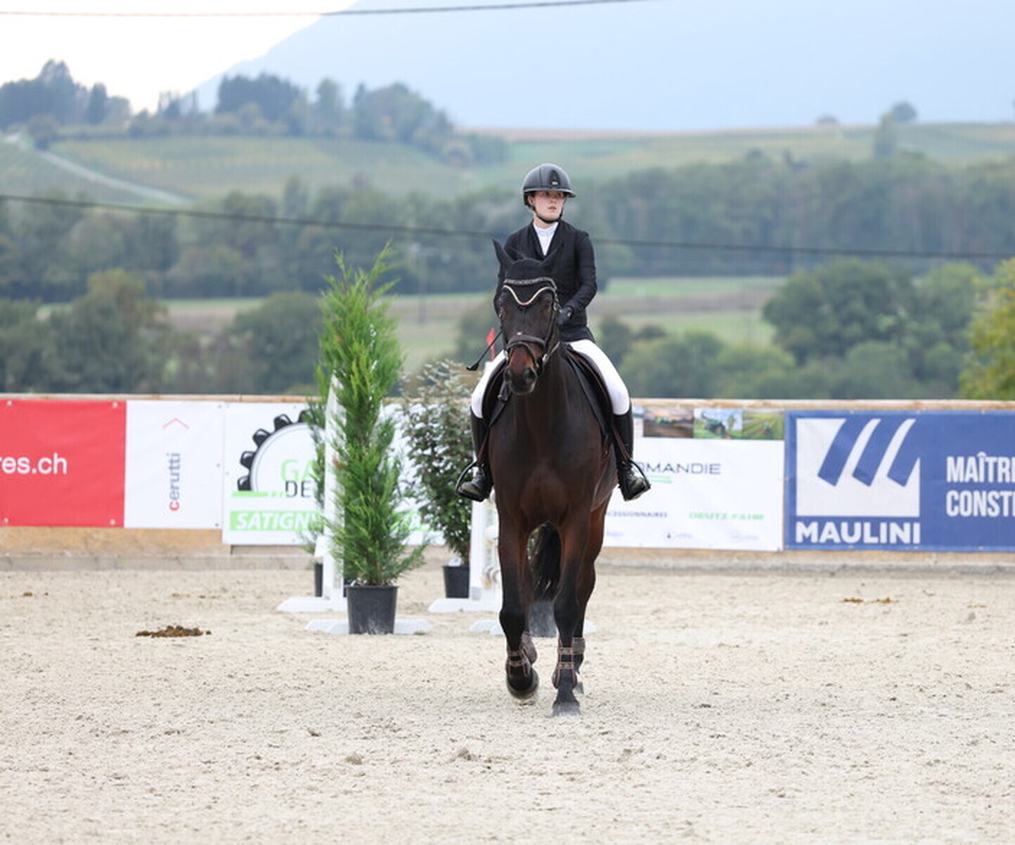 Description de l'image