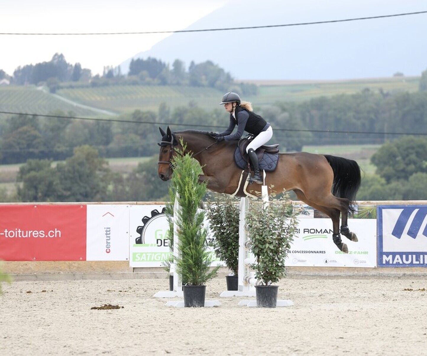 Description de l'image