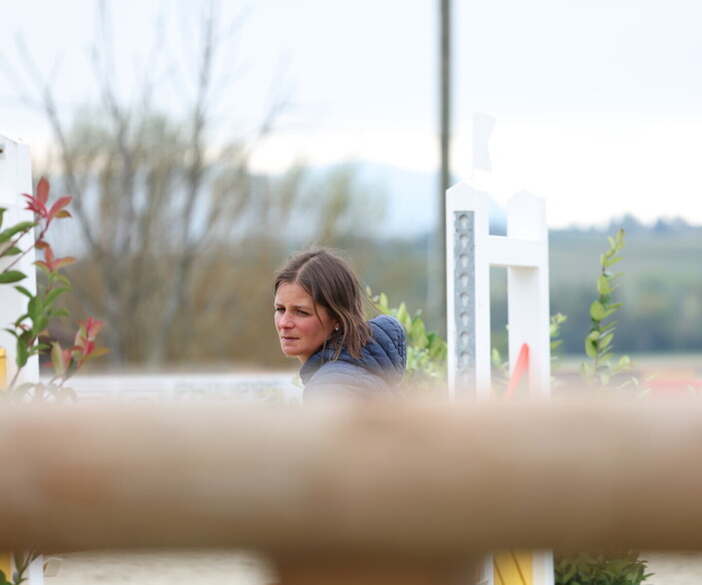 Description de l'image