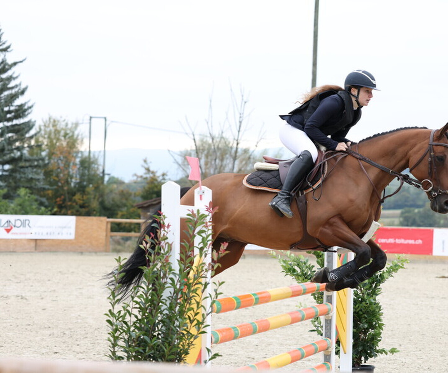 Description de l'image