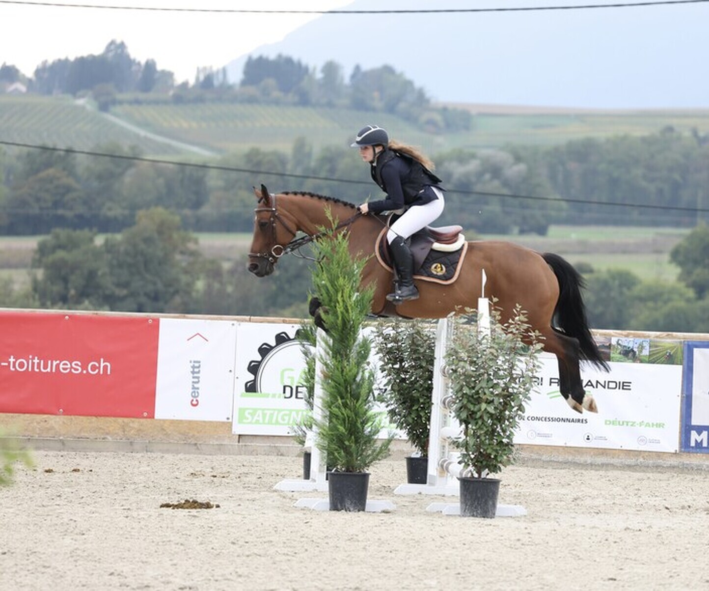 Description de l'image