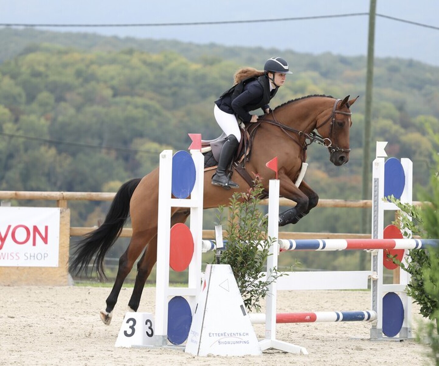 Description de l'image