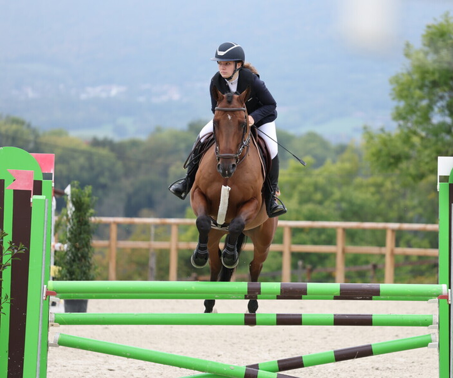 Description de l'image