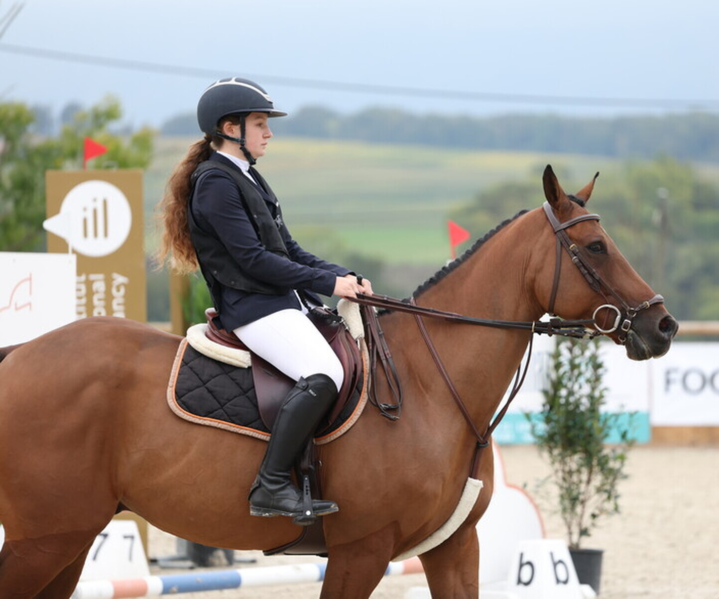 Description de l'image