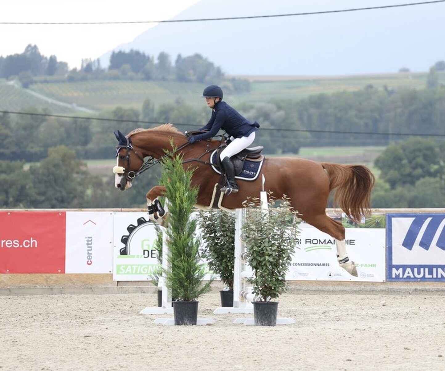 Description de l'image