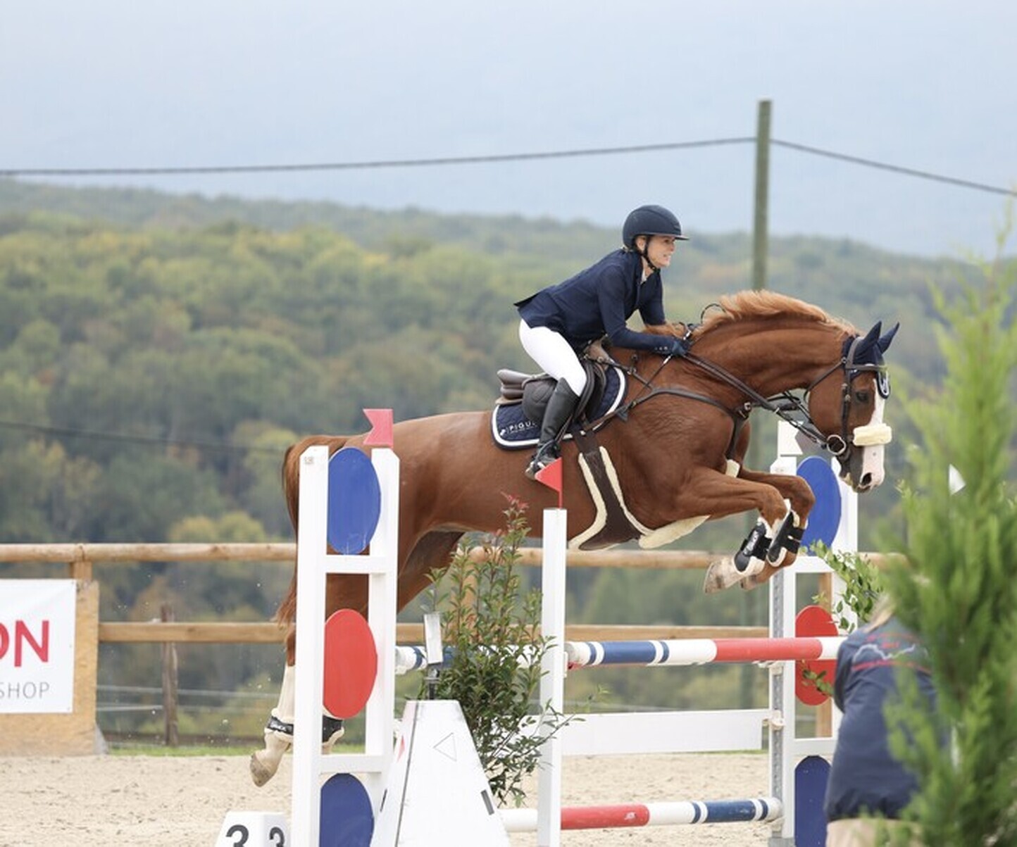 Description de l'image