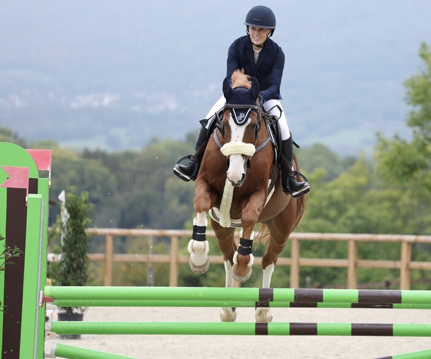 Description de l'image