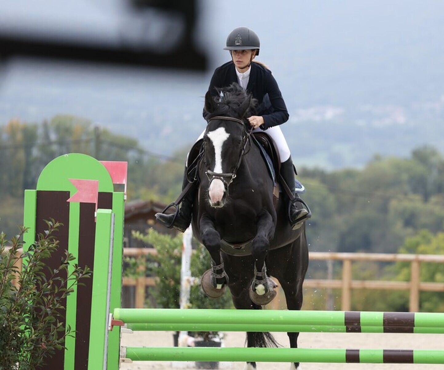 Description de l'image