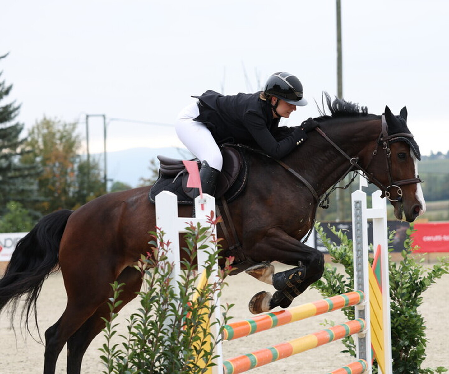 Description de l'image