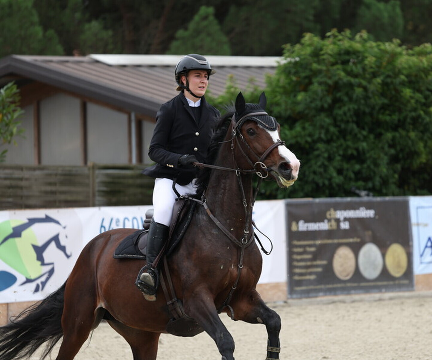 Description de l'image