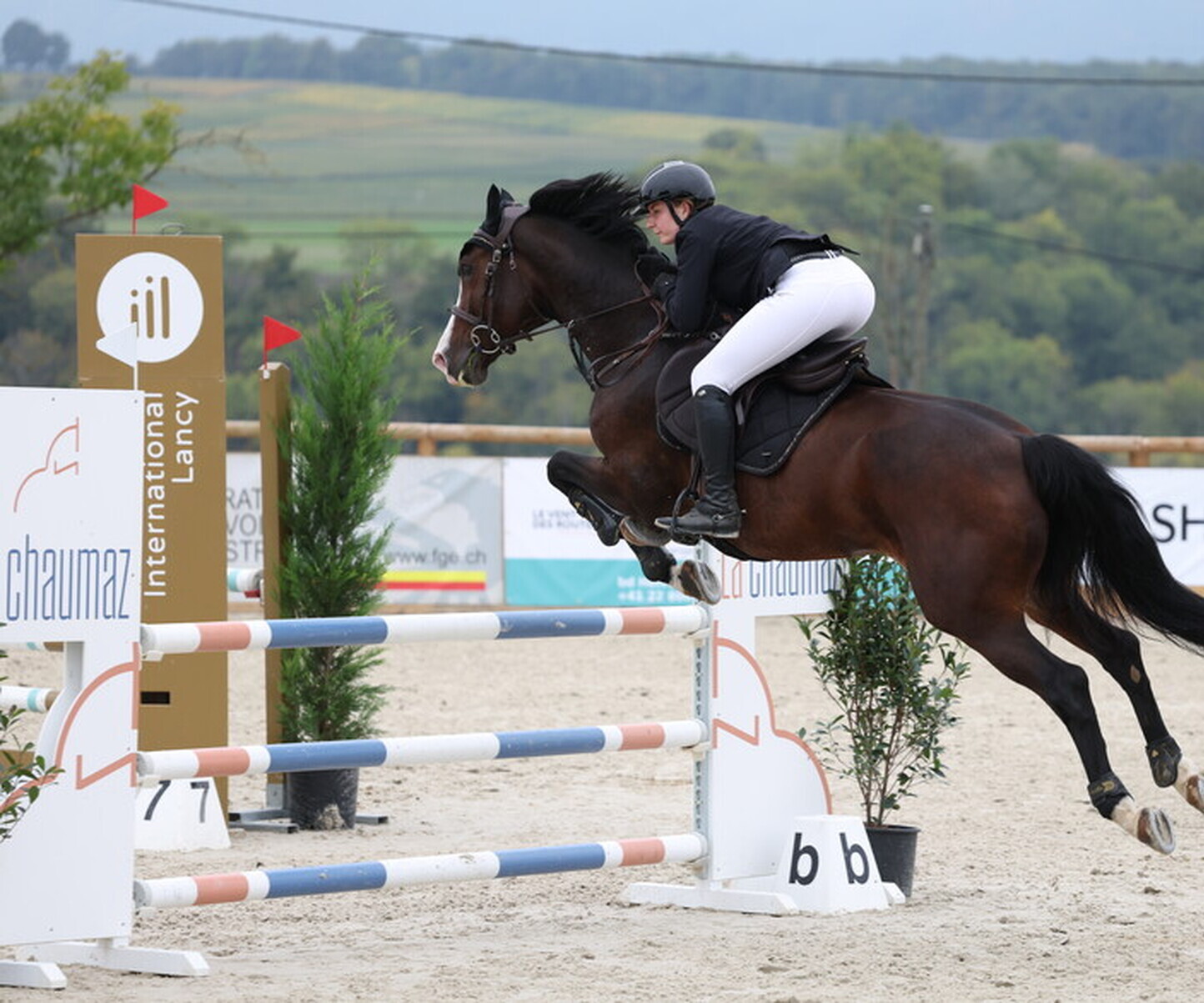 Description de l'image