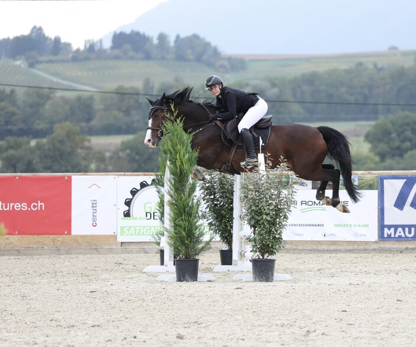 Description de l'image