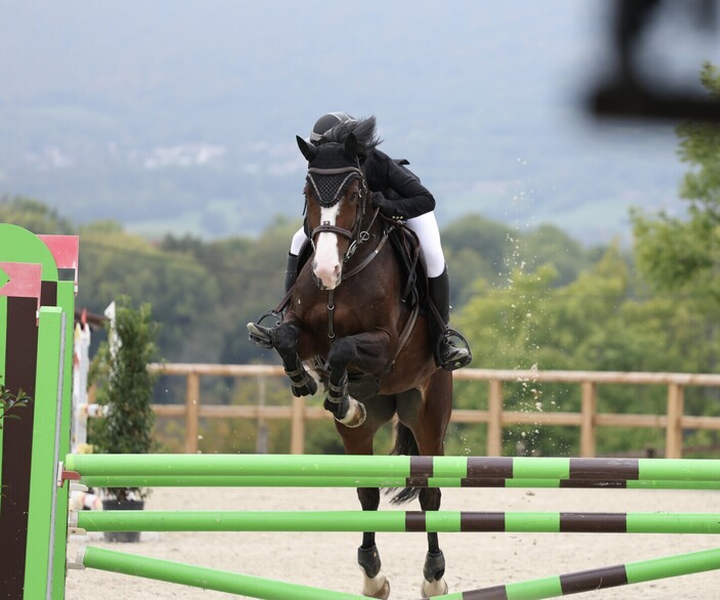 Description de l'image