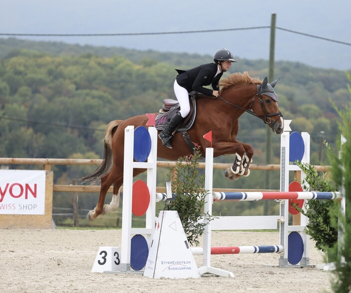 Description de l'image