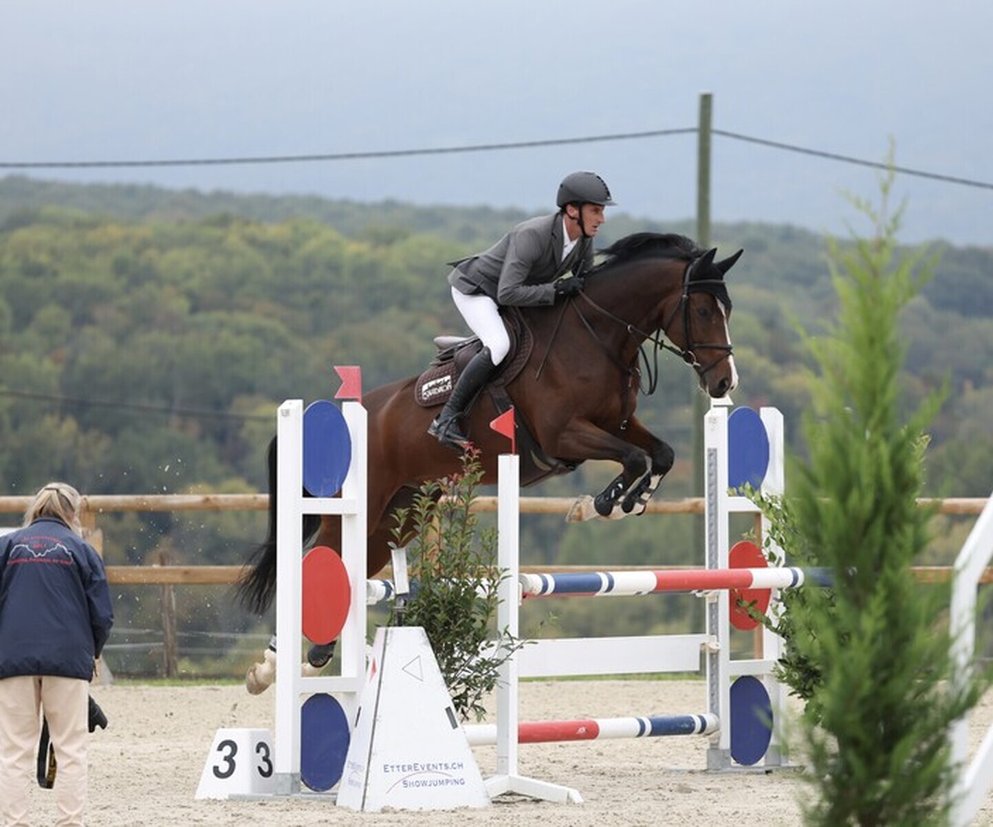 Description de l'image