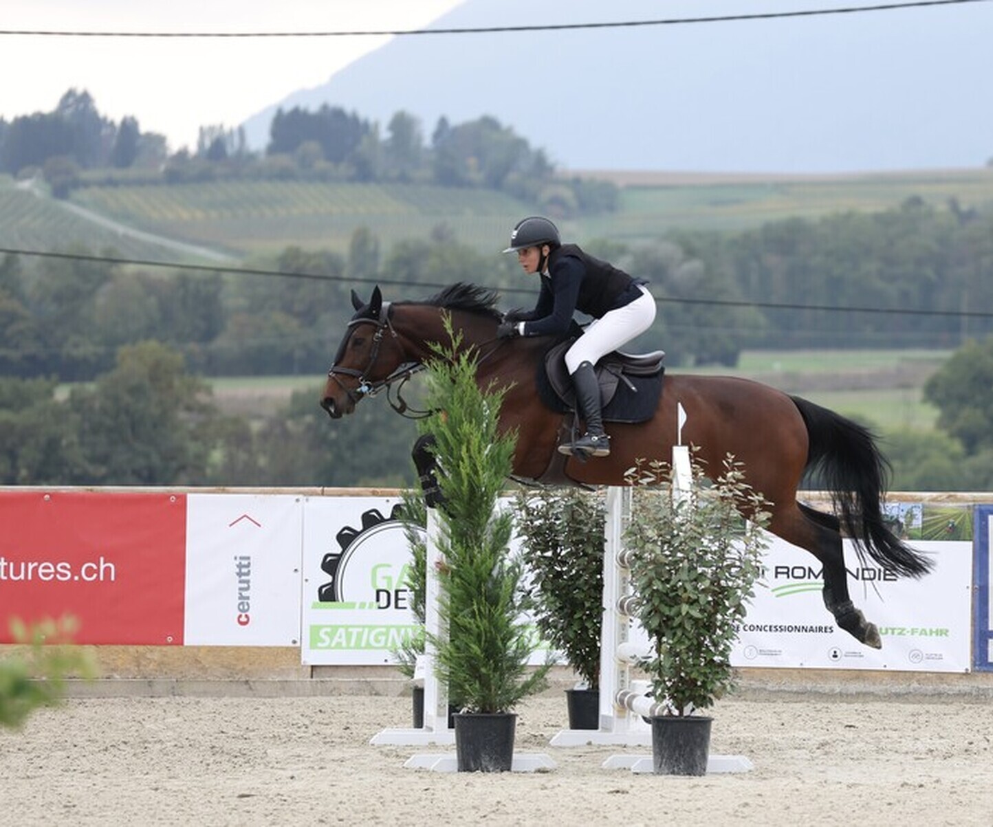 Description de l'image