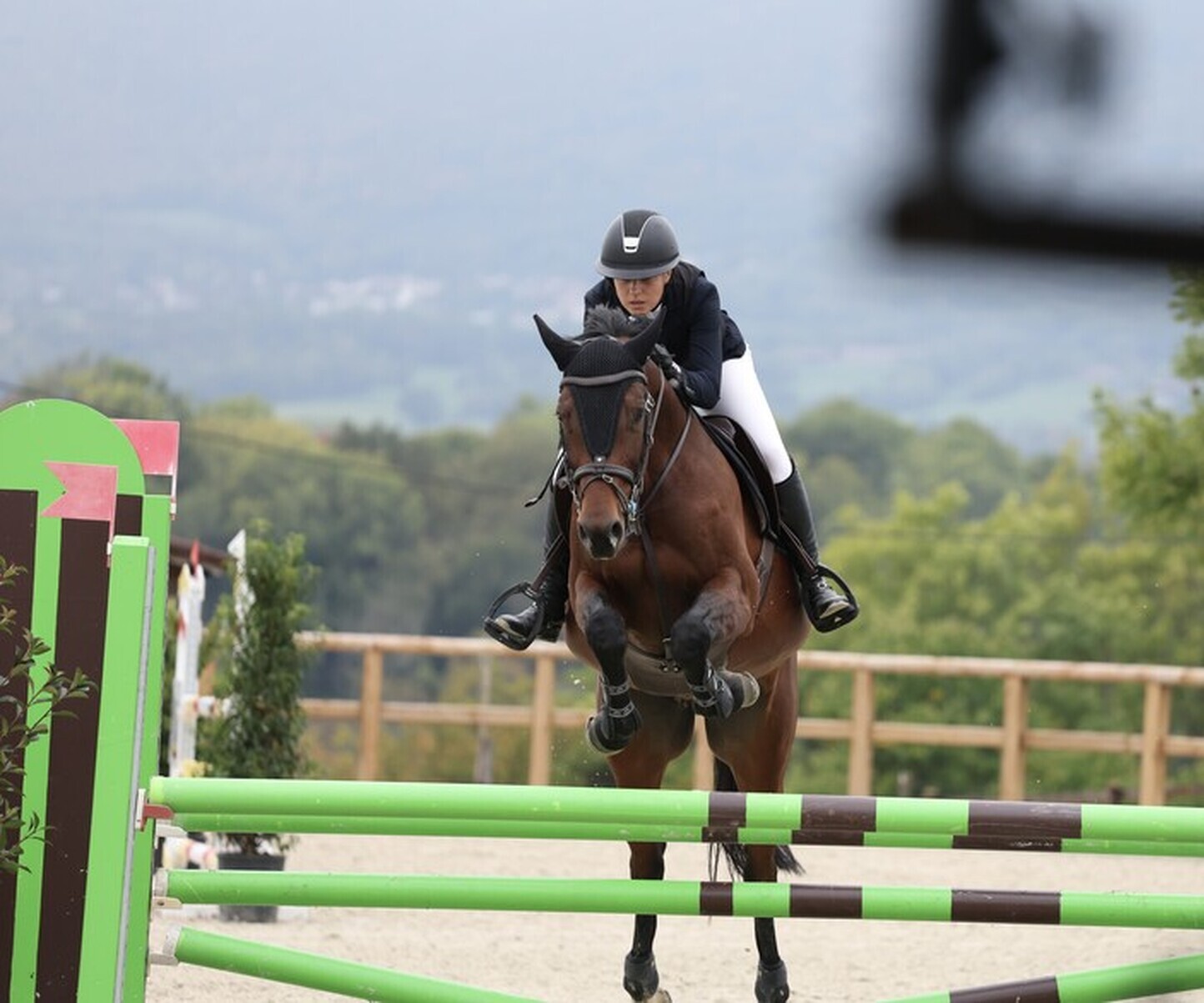 Description de l'image