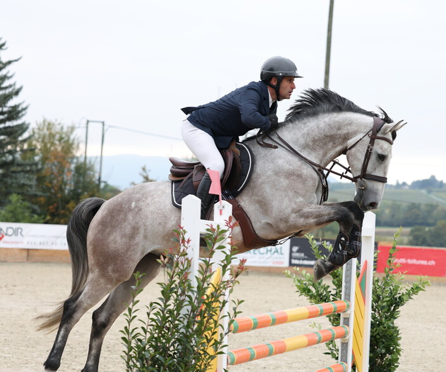 Description de l'image