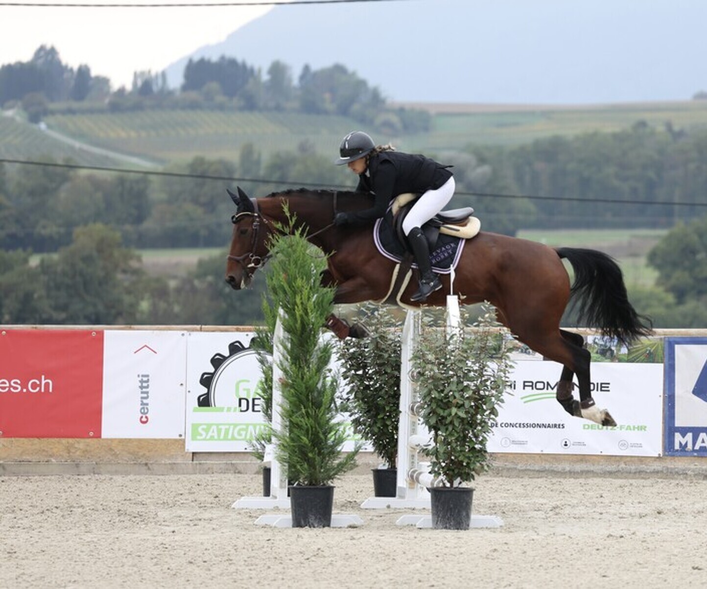 Description de l'image