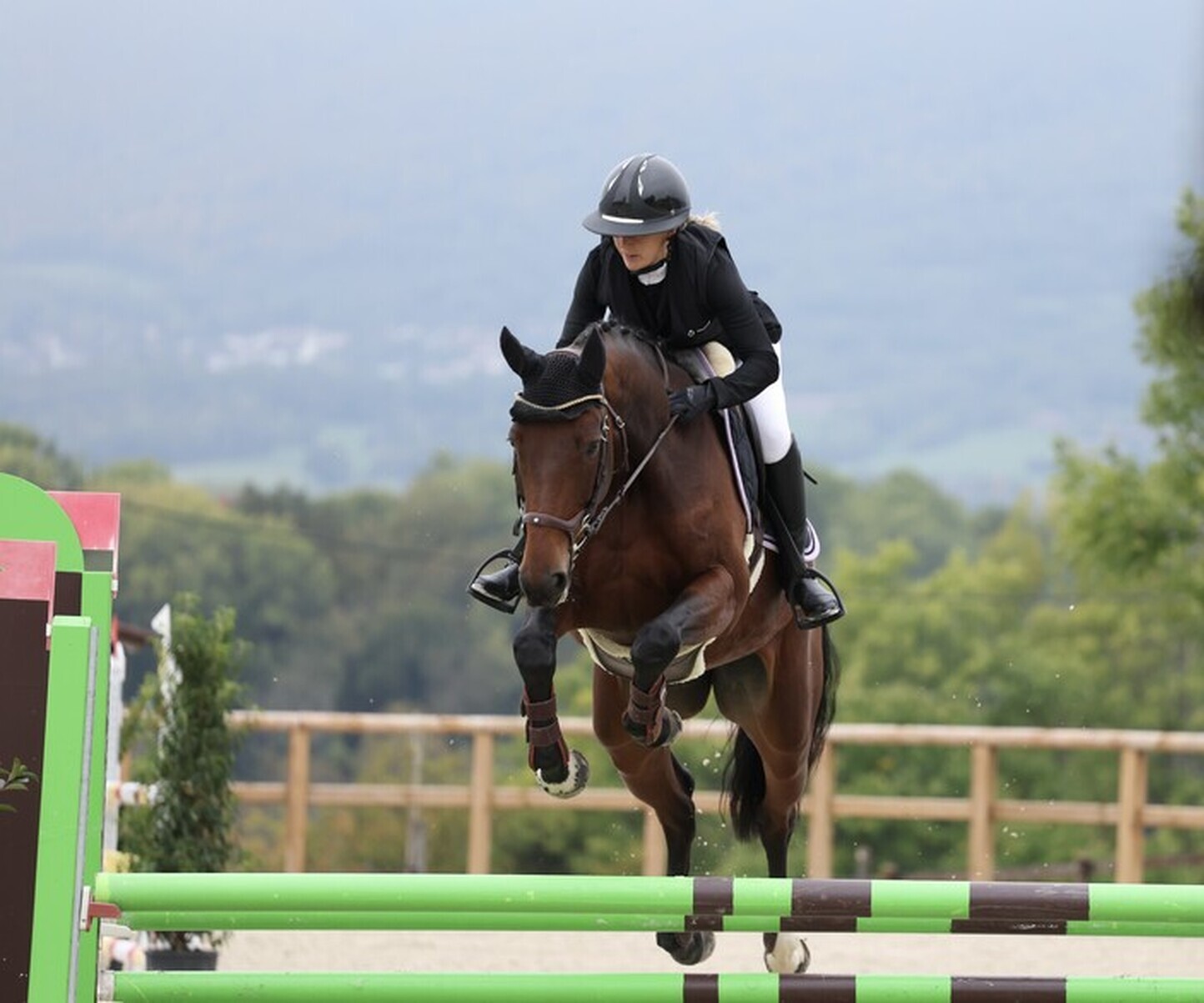 Description de l'image