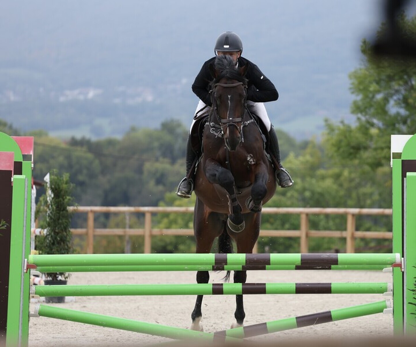 Description de l'image