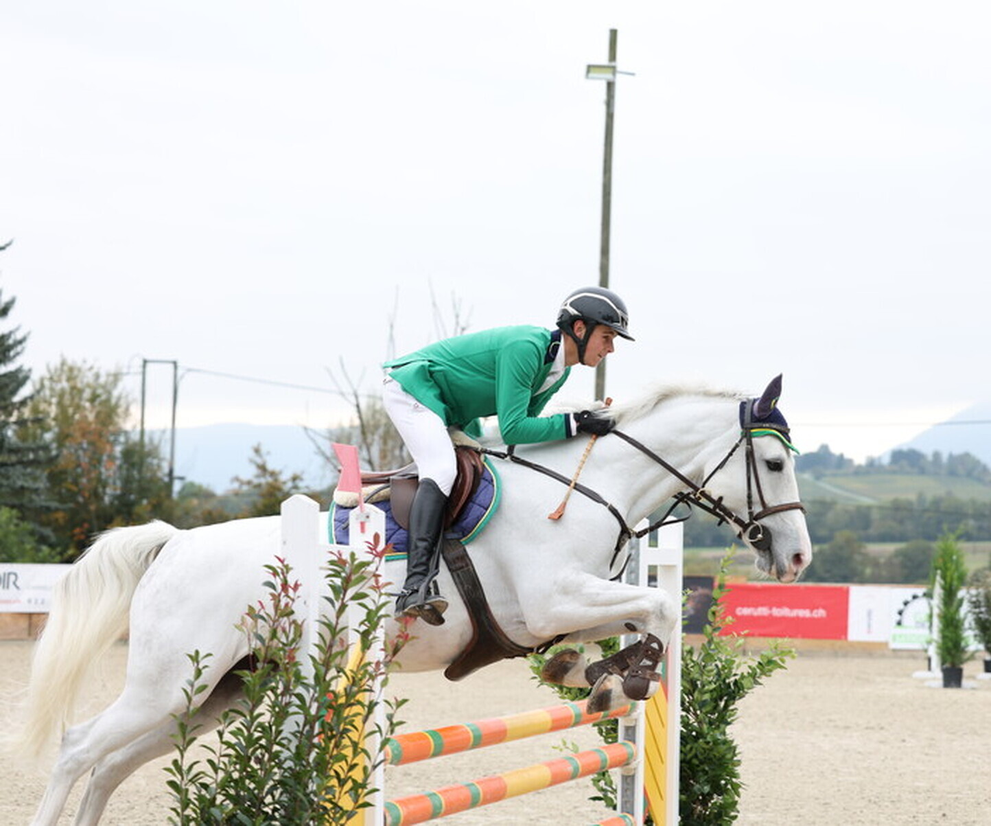 Description de l'image