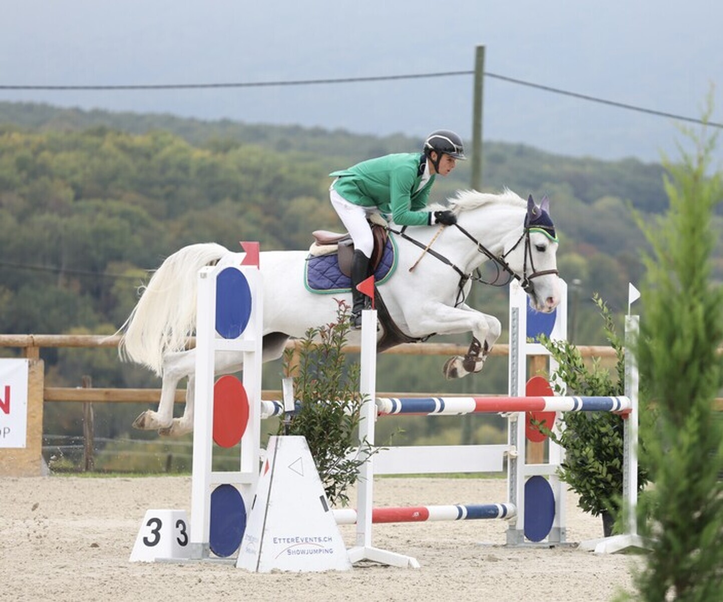 Description de l'image