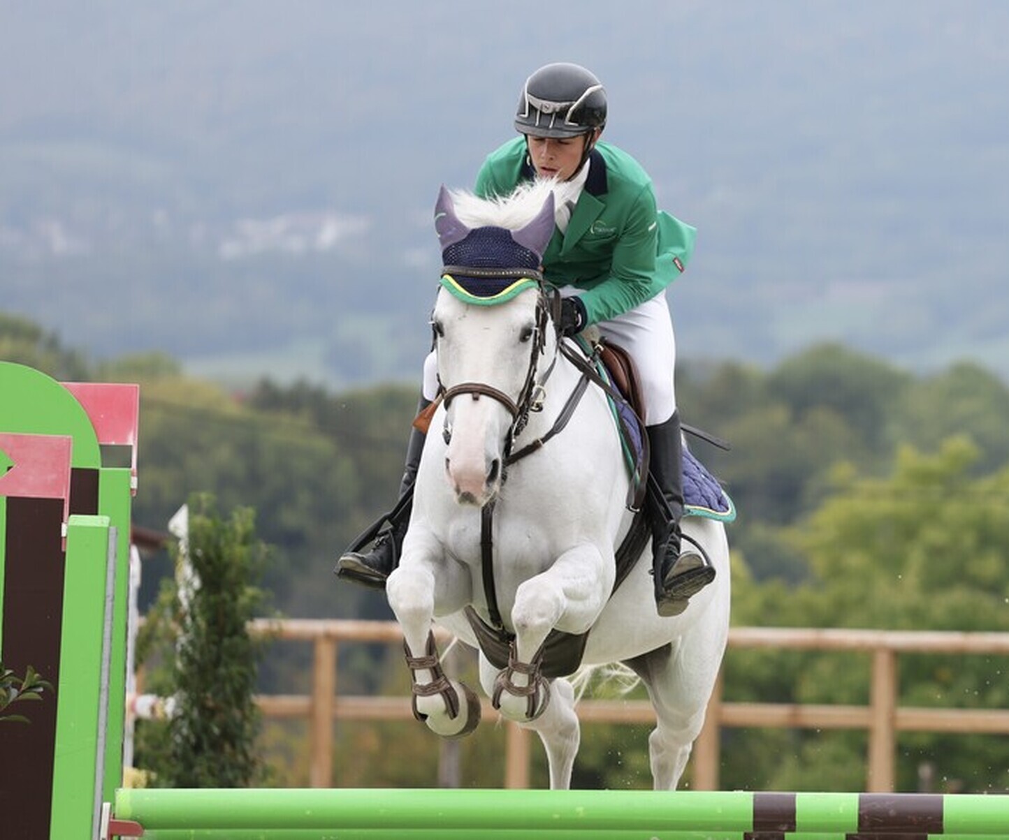 Description de l'image