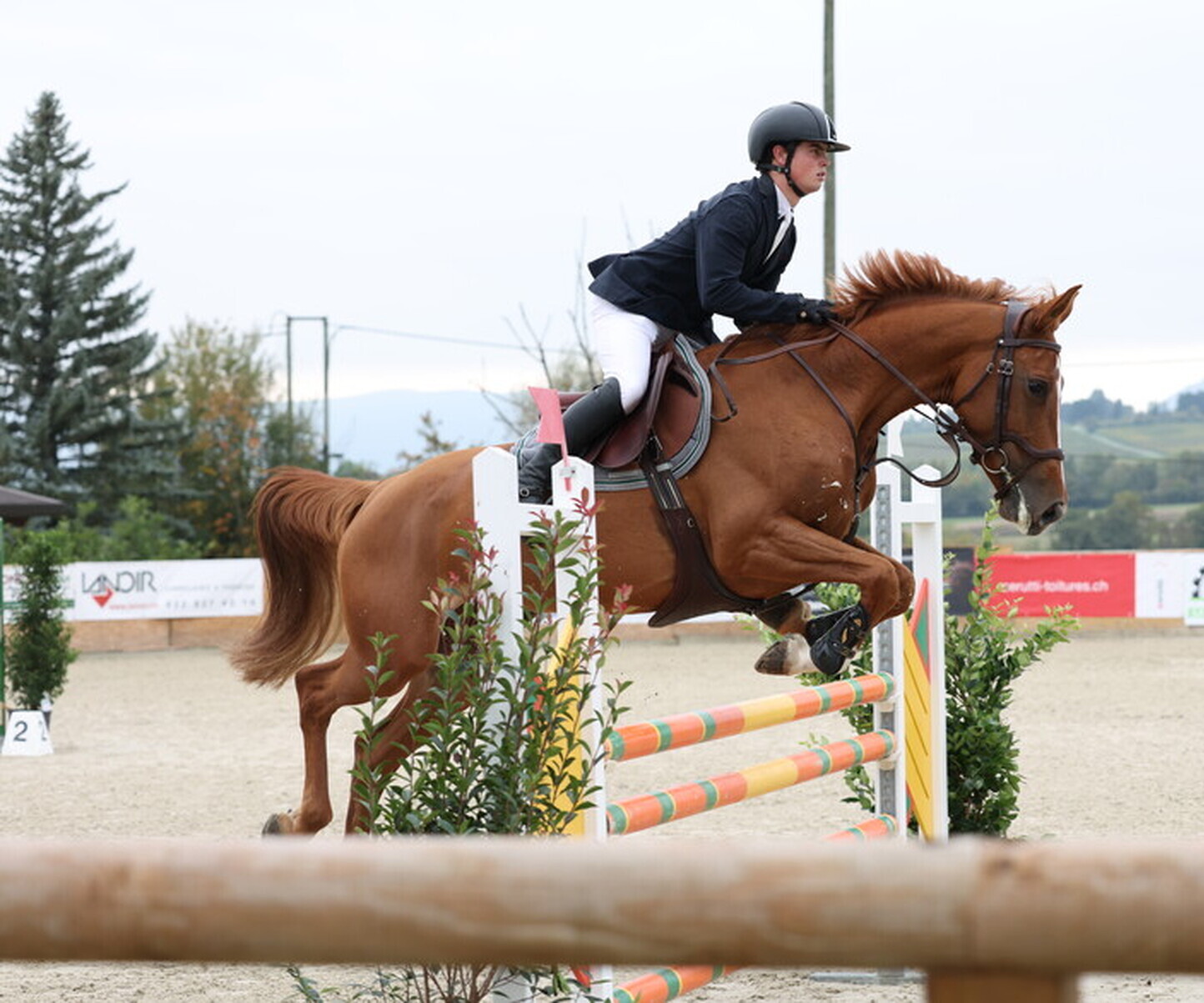 Description de l'image