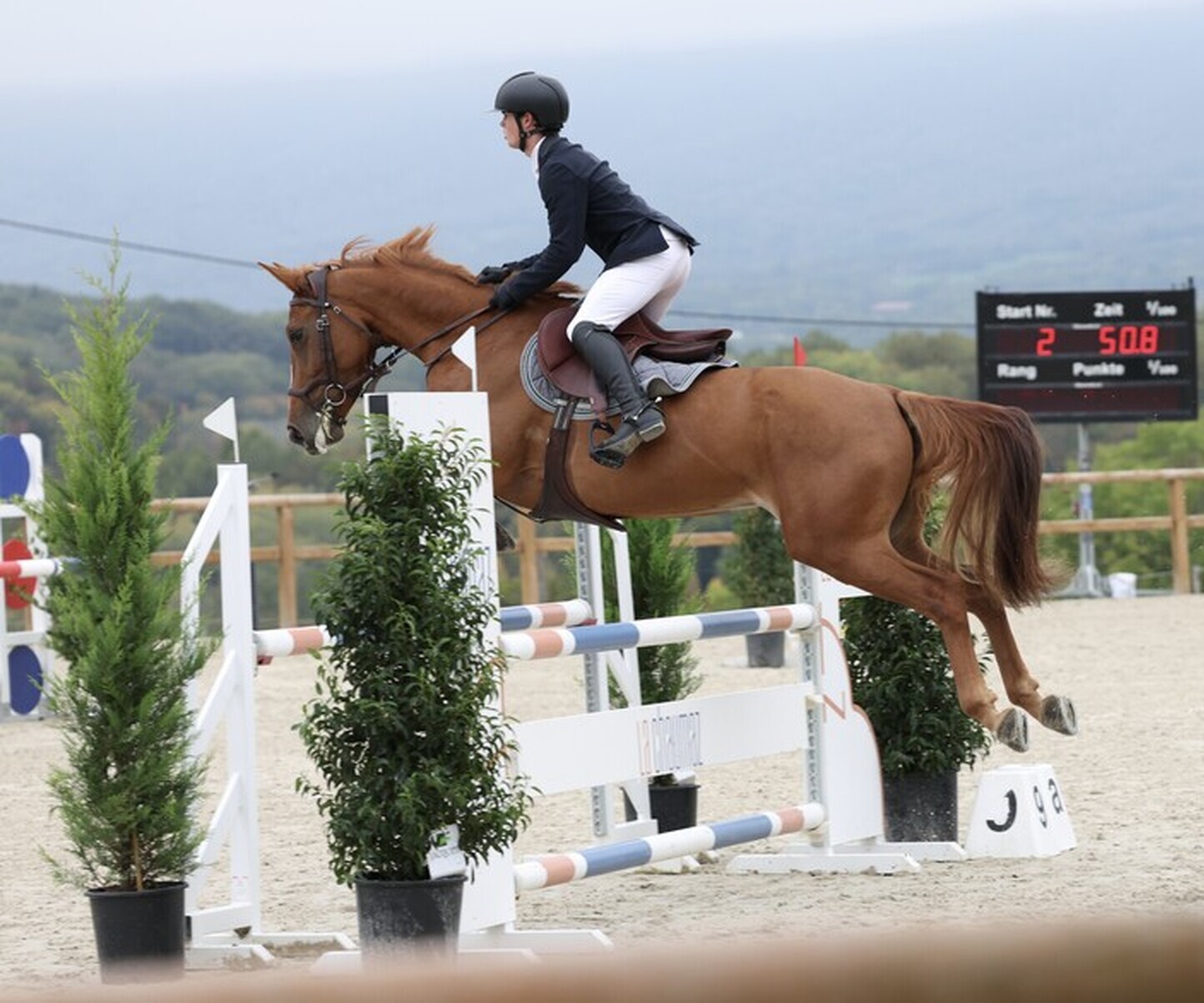 Description de l'image