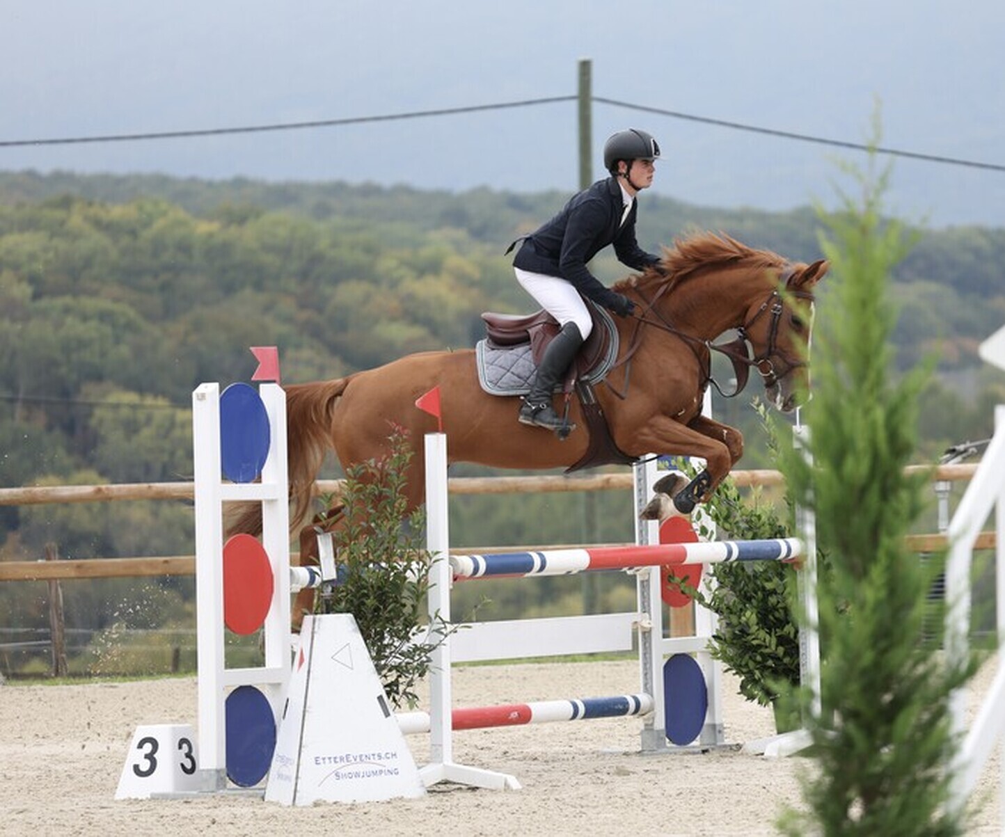 Description de l'image