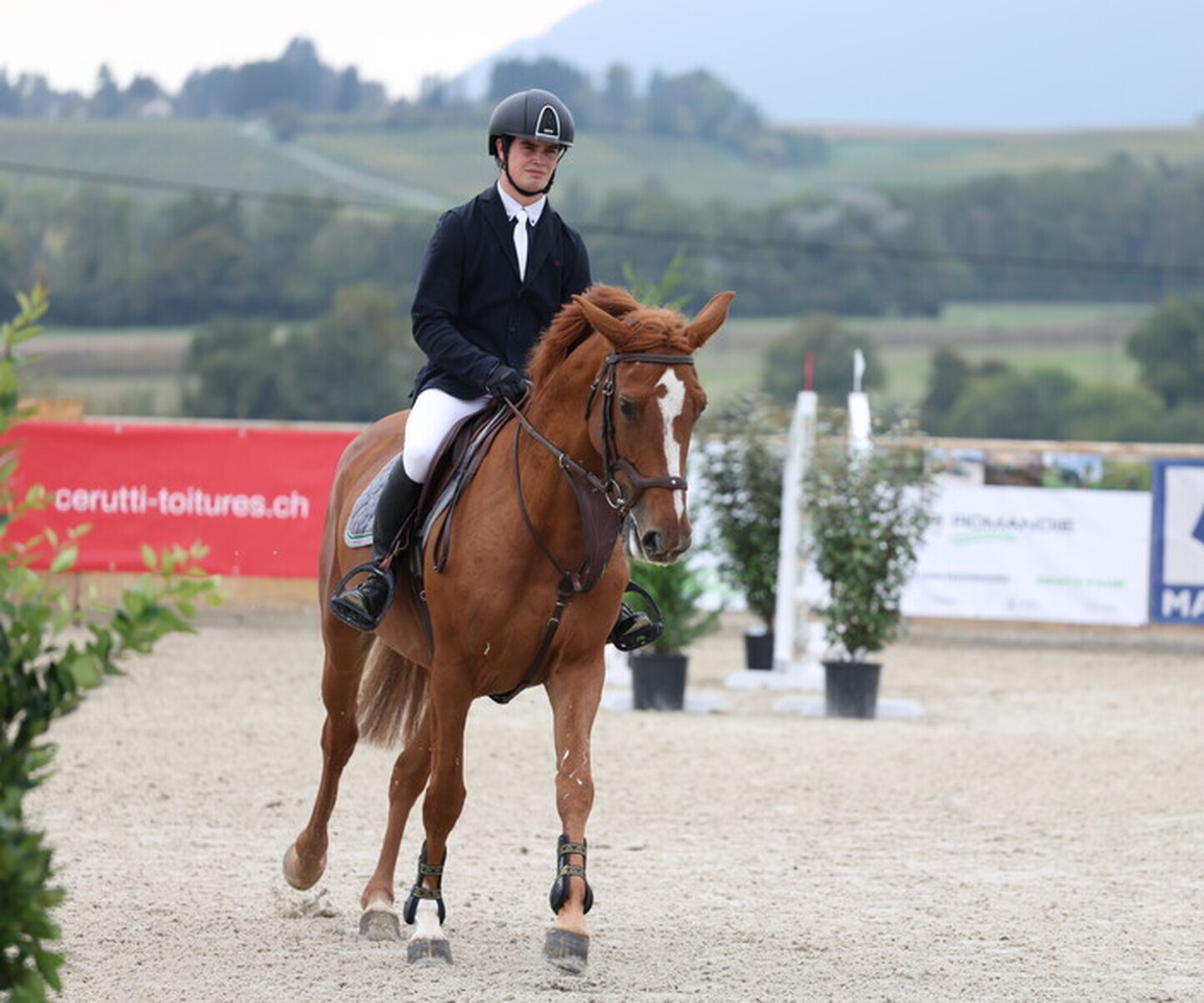 Description de l'image