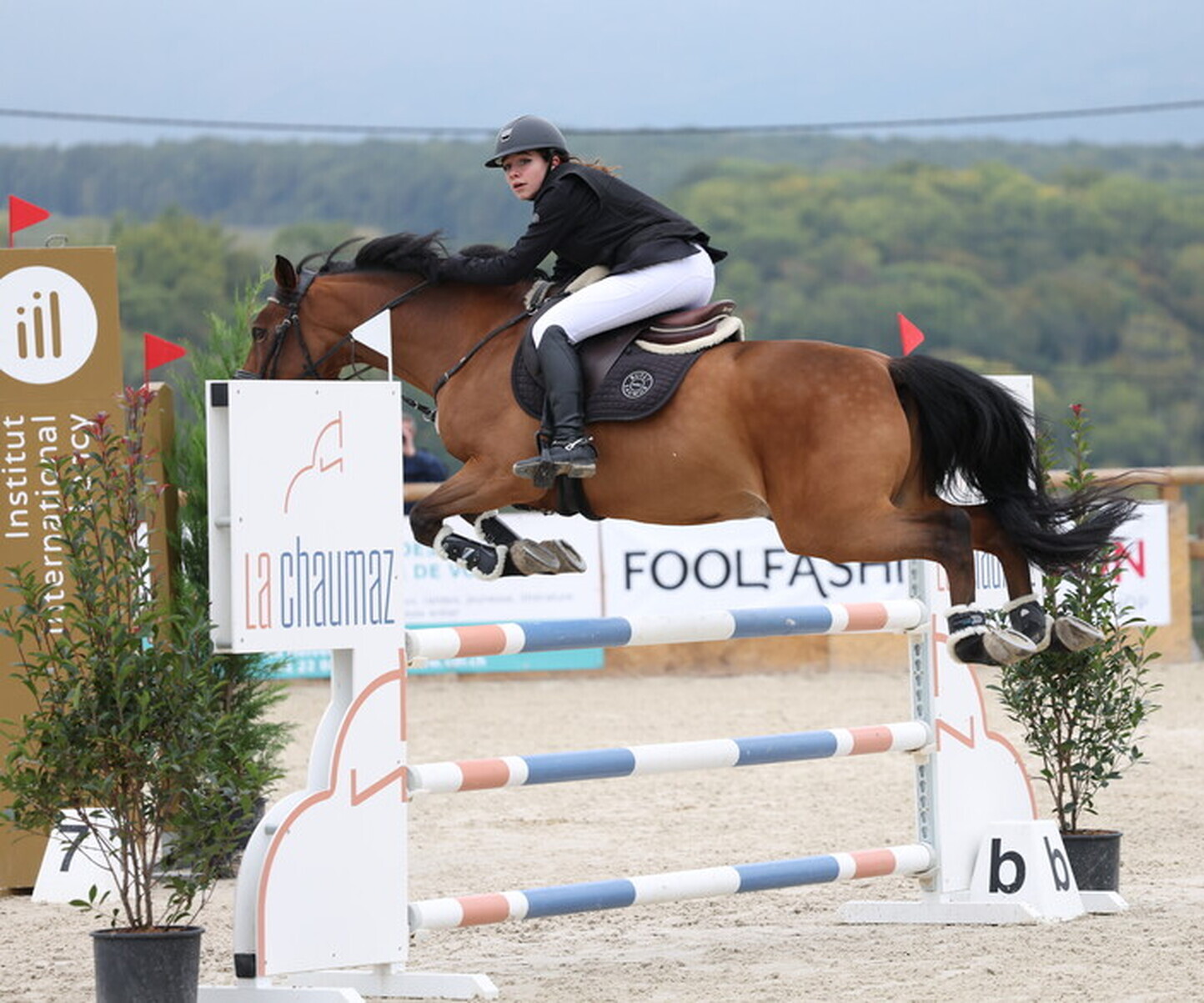 Description de l'image