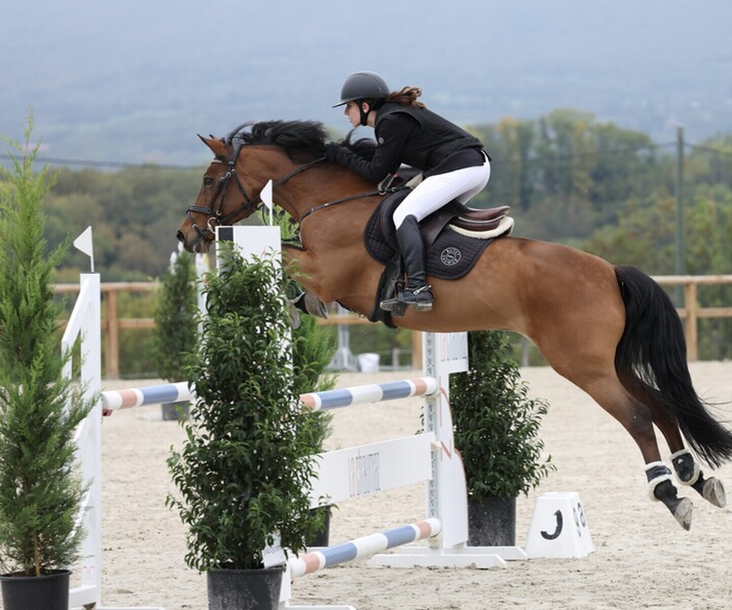 Description de l'image