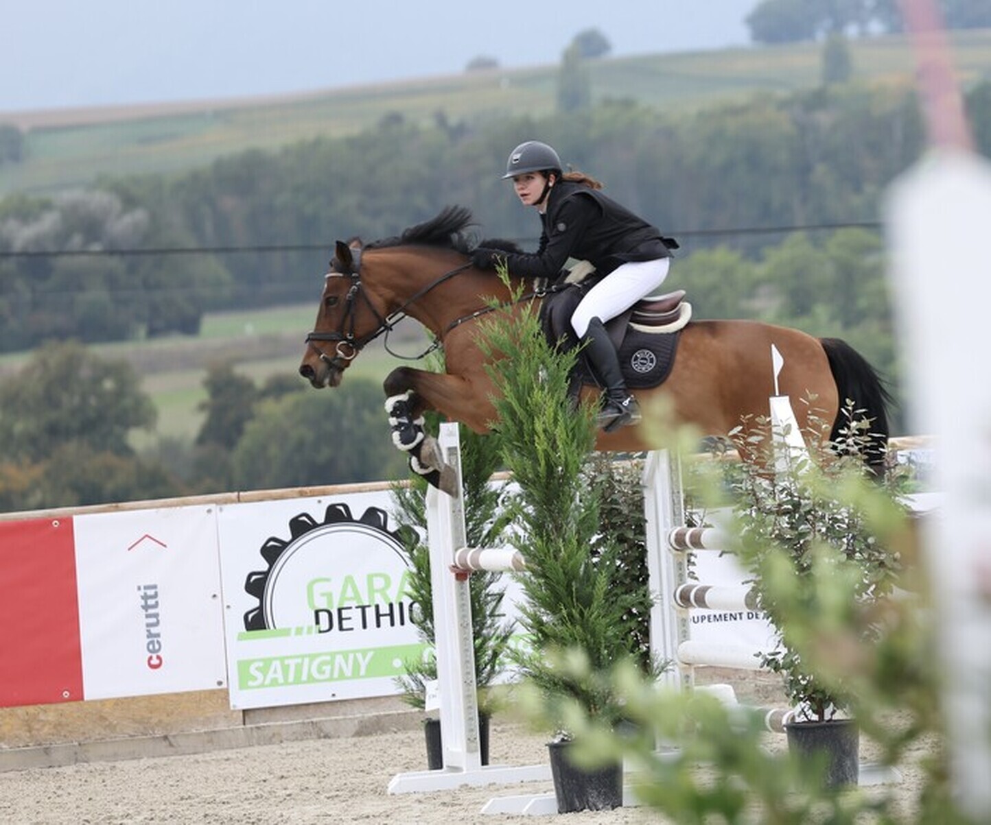 Description de l'image