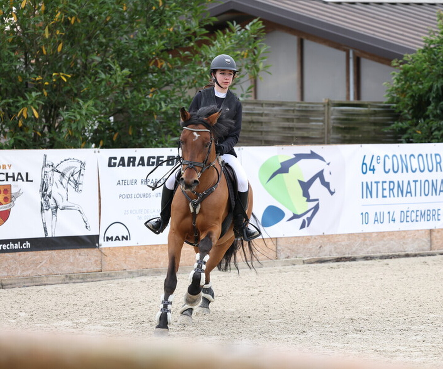 Description de l'image